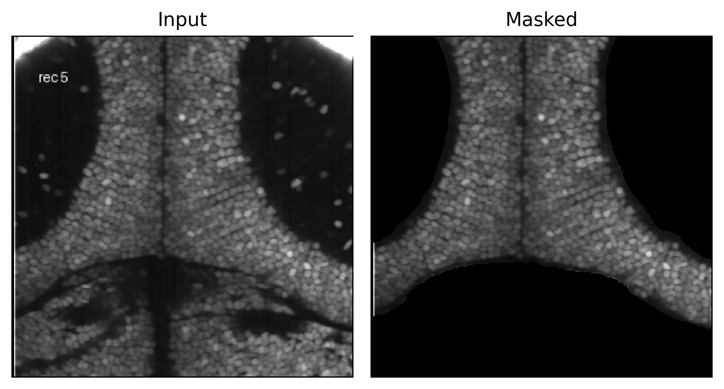 Input recording before and after masking