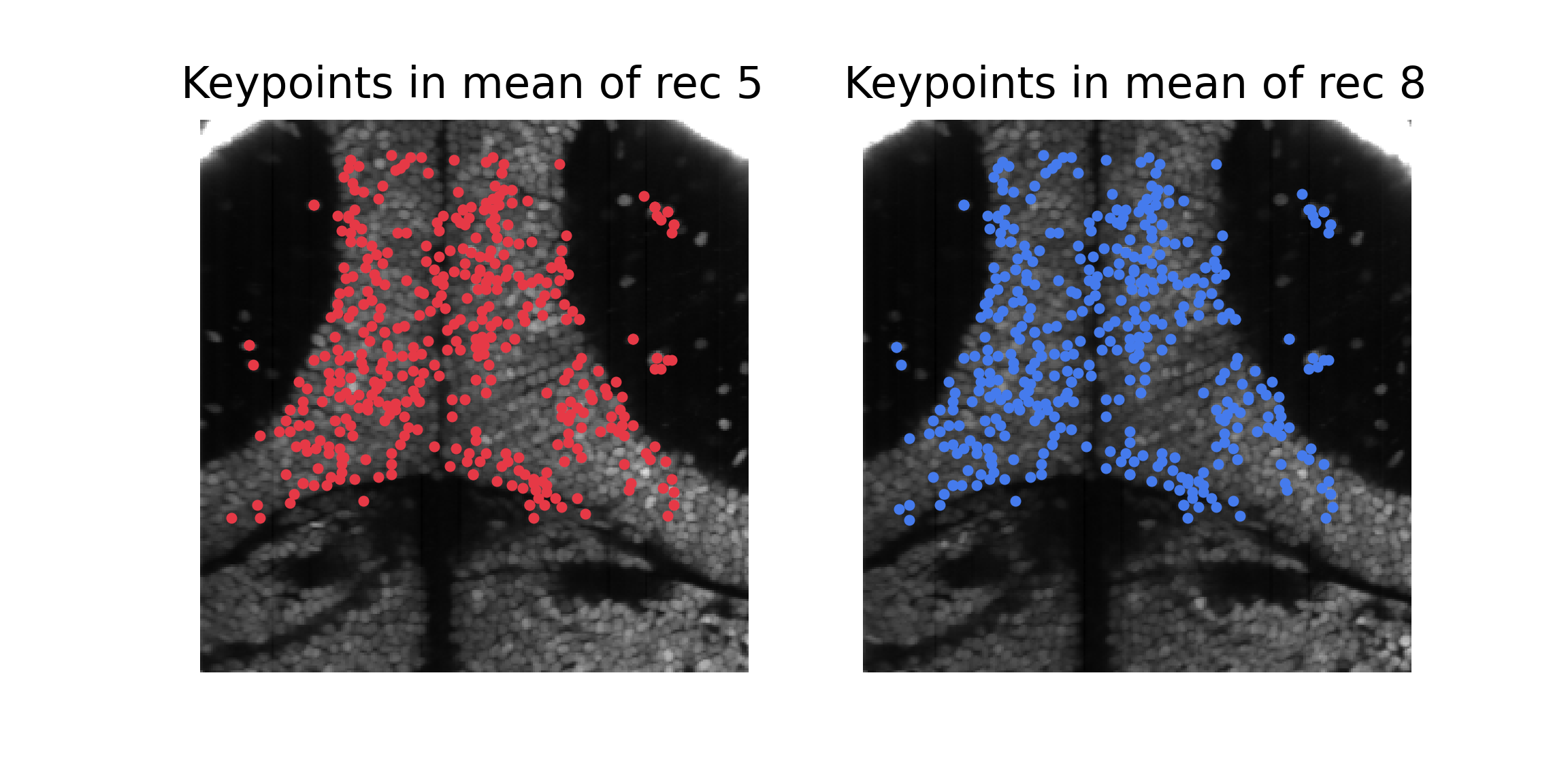 Keypoints shared by both recording 5 and 8.